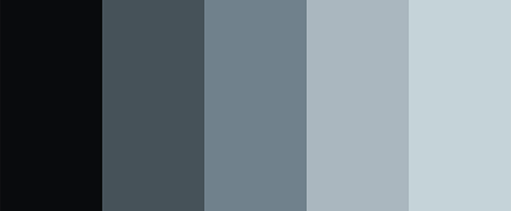 Color palette with pale, dark and blue colors