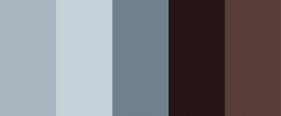 Palette that includes winter and cold colors of blue and brown