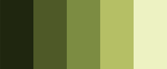 A dark and monochromatic palette that offers shades of green