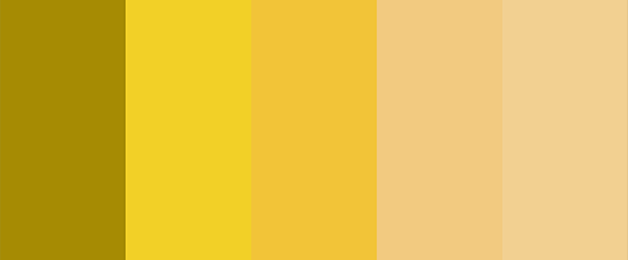 Жовті ромашки - це набір жовтого кольору та його відтінків